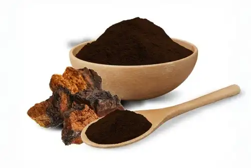 Chaga Mushroom Extract Powder Enables Premium Mushroom-Based Ingredient Solutions for Product Developers